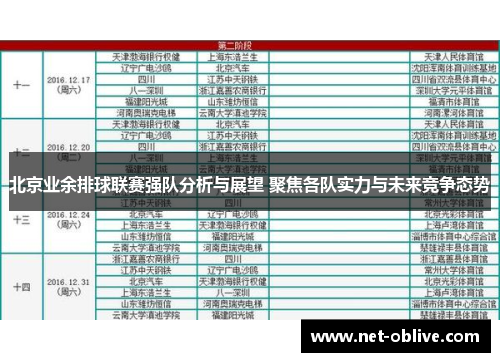 北京业余排球联赛强队分析与展望 聚焦各队实力与未来竞争态势