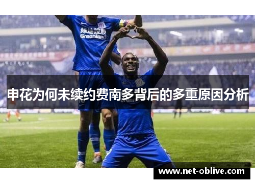 申花为何未续约费南多背后的多重原因分析