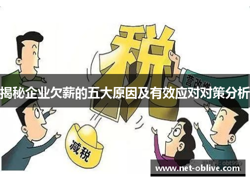 揭秘企业欠薪的五大原因及有效应对对策分析