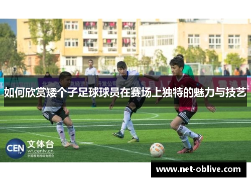 如何欣赏矮个子足球球员在赛场上独特的魅力与技艺